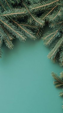 Beyaz arka planda köknar dalları. Yılbaşı ve yeni yıl geçmişi. Boşluğu kopyala.