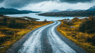 Norveç 'te gölü ve ağaçları olan güzel bir yolun dikey görüntüsü.