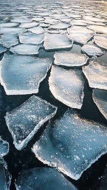 Nehir kıyısında buz kristalleri