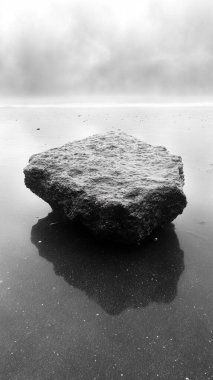 Deniz kıyısında taş