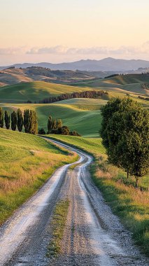 Toskana 'nın ortasında yol, İtalya, gün batımında, güzel manzara, Avrupa