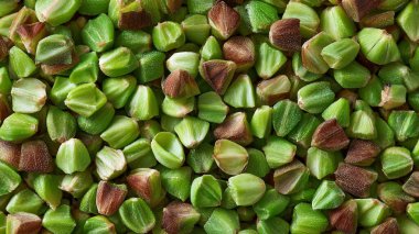 yeşil fasulye dokusunun arka planı. sağlıklı vejetaryen yemekleri.