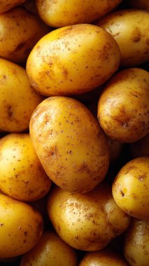 Beyaz arkaplanda çiğ patates