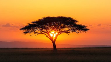 Savanda güzel bir gün batımı