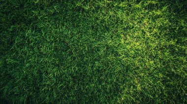 yeşil çimen dokusu arkaplanı.