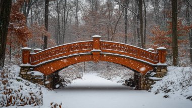 Parkın güzel manzarası