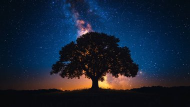 ağaç Samanyolu