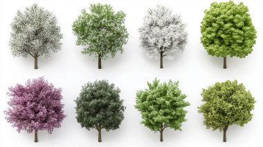 Beyaz arka planda, reklam ve tasarım için gölgeli yeşil ağaçların 3 boyutlu görüntülenmesi