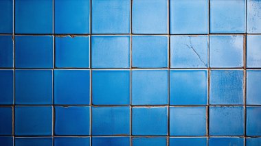 çatallı mavi kiremit duvar