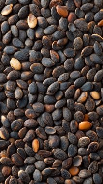 Yaklaş - Kurumuş siyah tohumlar yığını.