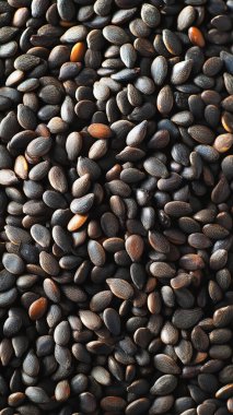 Tahta bir masada ayçekirdeği, üst manzara.