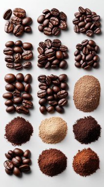 Beyaz arka planda çeşitli kahve taneleri ve baharatlar var.