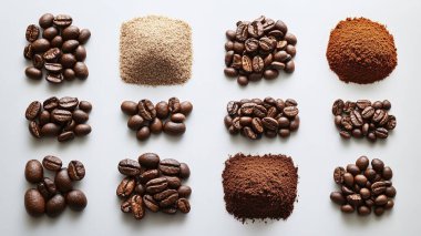 Beyaz arka planda farklı kahve çekirdekleri.