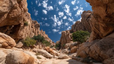 beautiful landscape in the mountains of the negev desert in israel