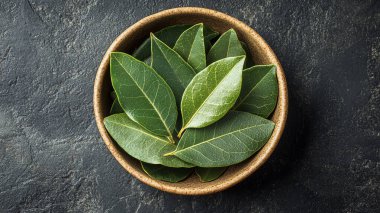 Siyah arka planda taze adaçayı yaprakları. en üstteki görünüm.