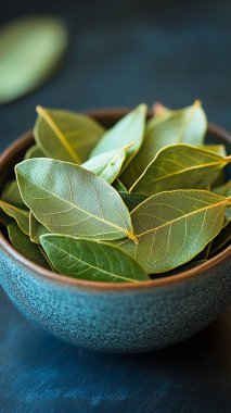 Taze ve kokulu defne yaprakları bir kasede. koyu arkaplan