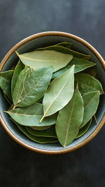 Bir kasede taze organik yeşil yapraklar.