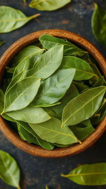 Koyu arkaplanda defne yaprağı olan taze defne yaprakları