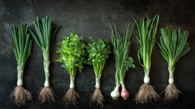 Siyah arka planda taze yeşil organik maydanoz ve soğan. en üstteki görünüm.