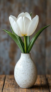 Ahşap bir arka planda vazoda beyaz lale.