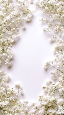 Bahar çiçekleri kiraz ağacı.