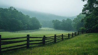 Çitleri ve ağacı olan yeşil bir tarla.