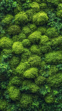 Yeşil yosun dokusunun arkaplanı