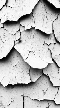 çatlamış beton doku, siyah beyaz arkaplan