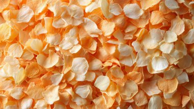 turuncu ve beyaz yapraklar