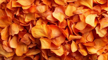 arka planda turuncu çiçekler.