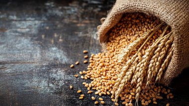 Tahta masada pişmemiş çiğ karabuğday.