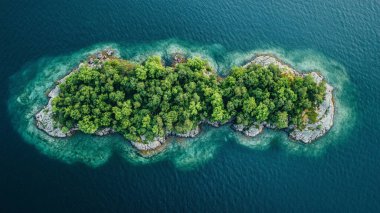 Ormanın ortasında, güzel bir gölün ortasındaki yeşil bir gölün havadan görünüşü..