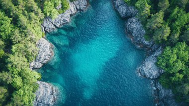 Ormandaki güzel gölün havadan görünüşü.