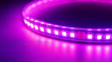 öncü ampul siyah arkaplanda izole edildi.