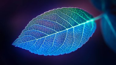 Mavi ışıklı neon yaprak. doğa arkaplanı