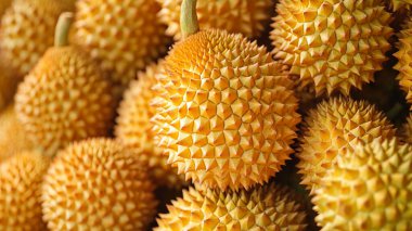 Piyasada sarı Durian