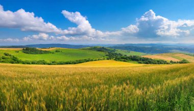 Sabah yeşil tarla ve dağ