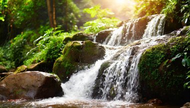 Mae Salin Tayland 'daki ormanın derinliklerinde şelale.