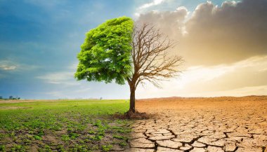 Küresel ısınma kavramı. Küresel ısınma kavramı, küresel ısınma ve iklim değişikliği, ısınma ve küresel ısınmada iklim değişikliği.