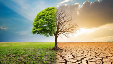 küresel kriz. Isınma konsepti. iklim değişikliği ve ısınma.