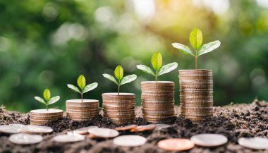 Tenceredeki bozuk paralar ve ahşap masa