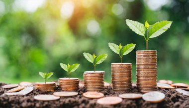 Masada büyüyen bitkilerle birlikte bozuk paralar.