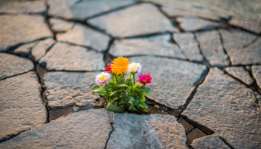 Bahçede büyüyen çiçeklerin seçici odak noktası.