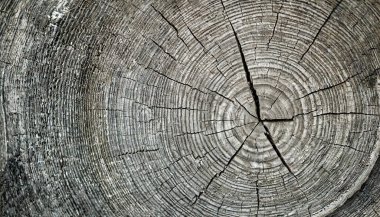 arkaplan için eski ahşap dokusu