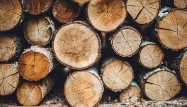 Günlükleri yığını. Ahşap arka plan.