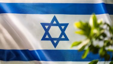 İsrail bayrağı. David 'in İsrail bayrağı