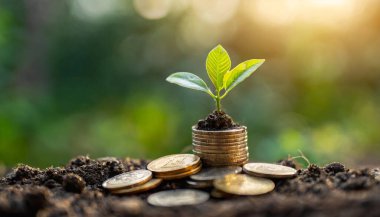 Bitkide bozuk paralar, arka planda yeşil paralar ve ağaç.