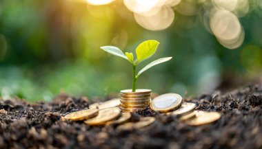 Bozuk paraların ve bokeh arkaplanının üzerinde yeşil bitkiler olan bozuk paralar