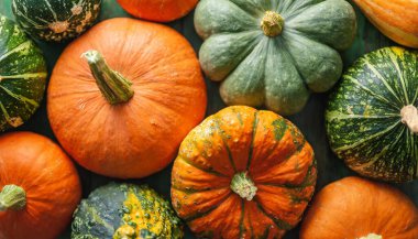 Ahşap arka planda renkli taze balkabakları