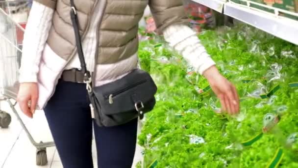 Buying green lettuce at the market — Stock Video